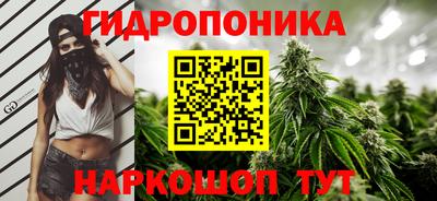 гидра Краснодар