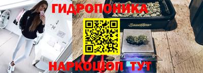 гидра Краснодар