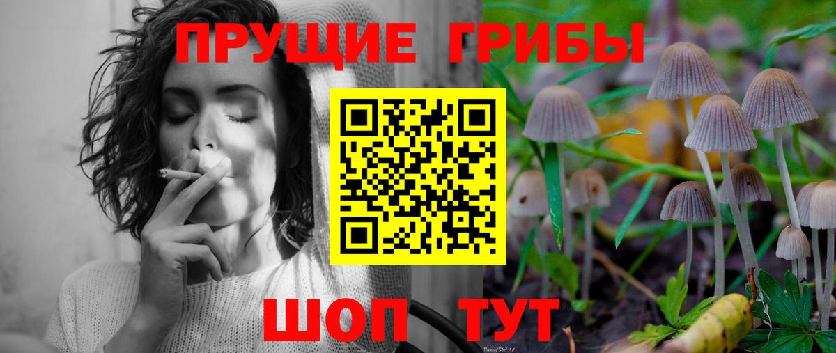 наркошоп  Галлюциногенные грибы прущие грибы  Вход с VPN  Галлюциногенные грибы мухоморы  Кинель 