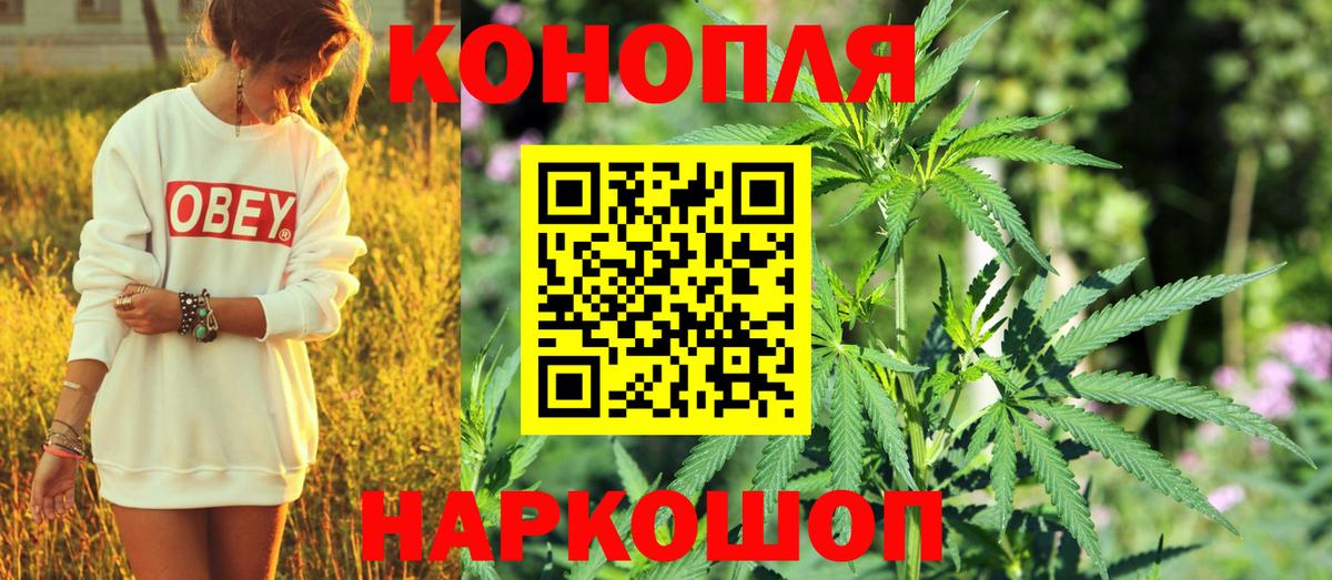 Кинель  Каннабис планчик  Бошки марихуана SATIVA & INDICA  Вход с VPN  Марихуана White Widow  Конопля тримм 